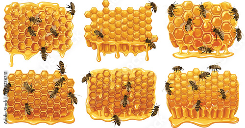 Detailed Honeycomb and Bee Icon Set with Dripping Golden Honey for Organic Food, Apiary, Nature, and Product Label Designs
Detailed Honeycomb and Bee Icon Set with Dripping 