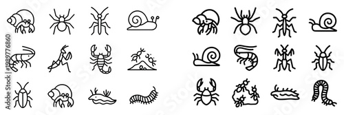 Insect icons with snail spider ant outline