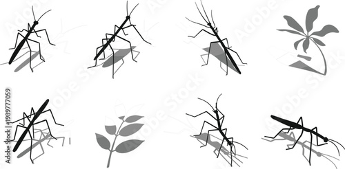 Stick Insect and Leaf Bug Silhouette Icon Set with Plant Elements for Nature, Entomology, Wildlife, and Science Education DesignsStick Insect and Leaf Bug 