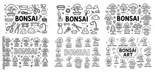 Bonsai art: types and tools illustrated