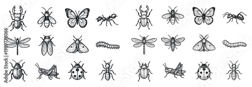 Nature icons with beetle butterfly ant outline