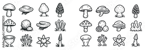 Nature icons with mushroom cap stem sketch