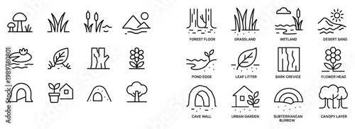 Nature icons with mushroom grass tree minimal