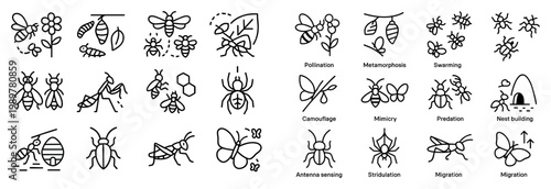 Insect icons with bee spider leaf outline