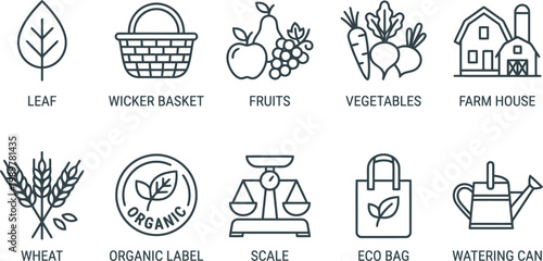 Organic farm and eco friendly icons set