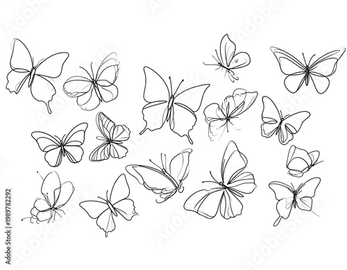 Many butterfly outlines sketched in black on white