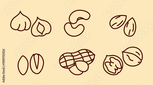 Line Art Peanut Nut Illustration Bundle Food Snack Ingredient Outline Vector Icon Set Clean Graphic Collection