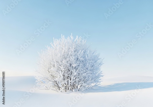 Solitary shrub heavily coated with frost sits within a bright, snow-covered landscape under a pale blue sky