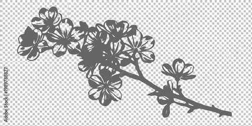 A delicate black and white illustration of blossoming spring flowers on a branch