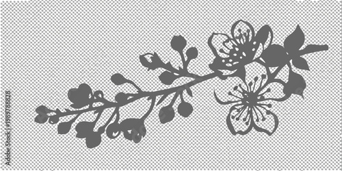 Silhouette of blossoming branch with delicate flower and leaf details