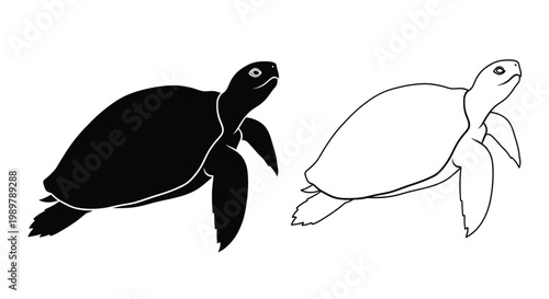 Two sea turtles one dark and one light in a sleek silhouette