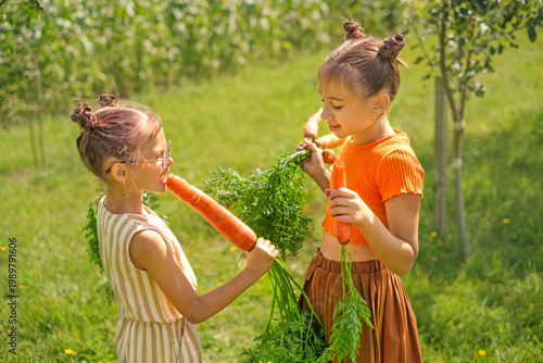 Schilderij op canvas The children harvested ripe carrots