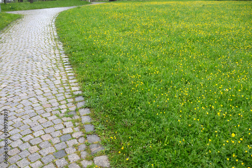 Kopfsteingepflasteter Weg inmitten einer satt grünen Wiese