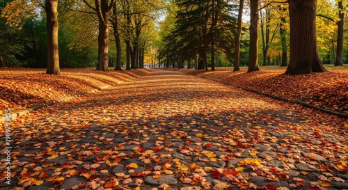 Autumn leaves carpet a park path under dappled sunlight