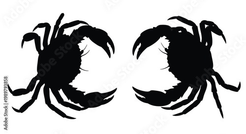 Two crabs facing each other depicted in a stark silhouette