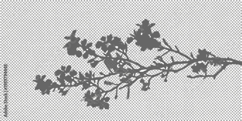 Dark silhouette of tree branches and leaves against a transparent background