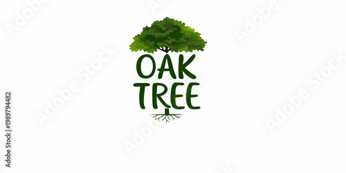 Illustration of an oak tree with the words oak tree displayed below