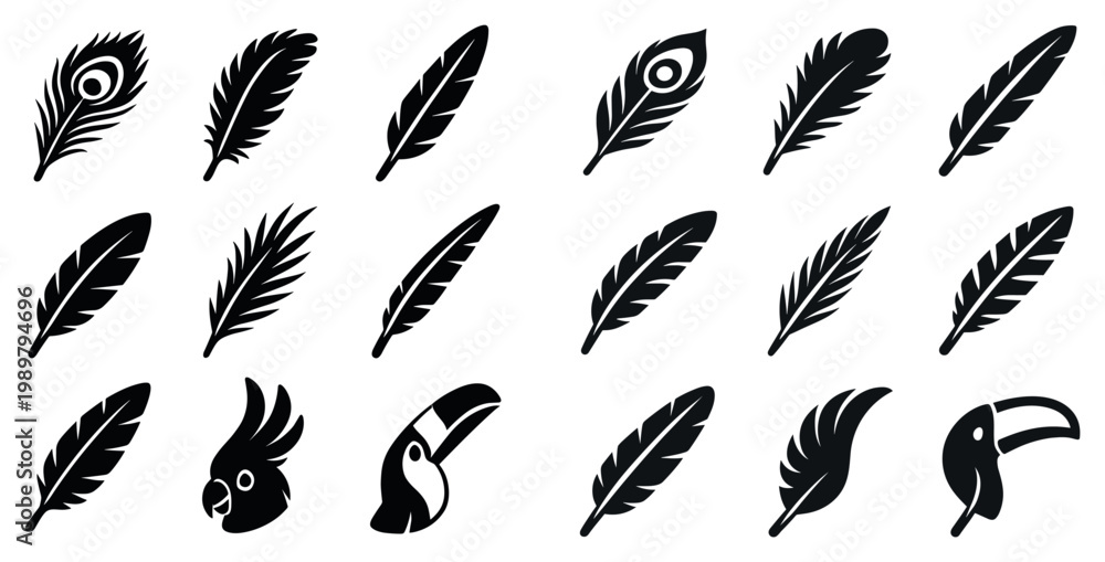 Fototapeta premium Nature icons with feather peacock cockatoo toucan silhouette minimal