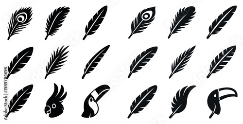 Nature icons with feather peacock cockatoo toucan silhouette minimal