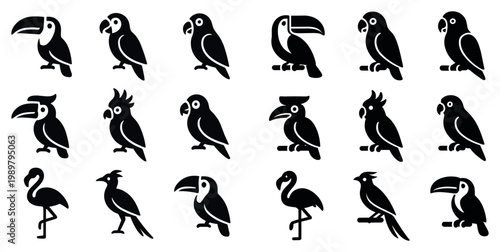 Tropical bird icons with toucan parrot flamingo silhouette style