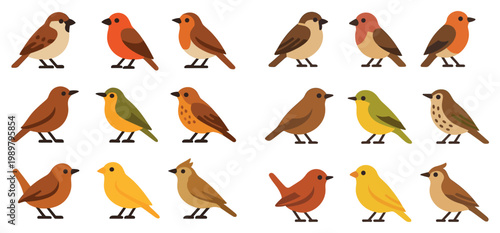 Nature icons with robin finch sparrow flat colorful