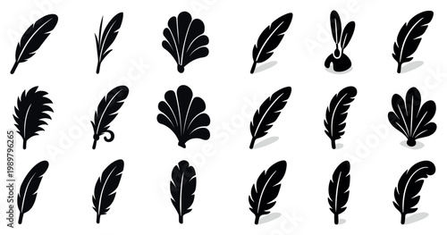 Ornamental icons with feather quill plume decorative flat style
