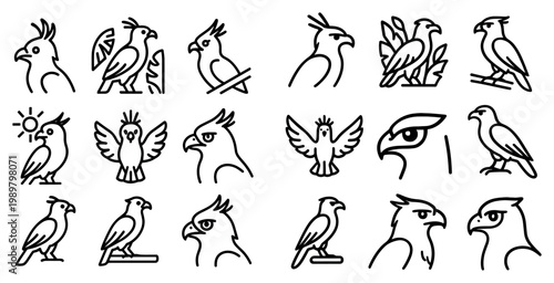 Nature icons with parrots and hawks monoline outline minimal design