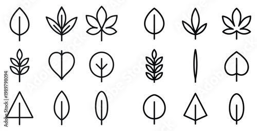 Nature icons with leaf sprout branch outline