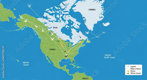 Map of North America showing Canada geese migration routes from Canada to Mexico with seasonal legend vector educational illustration