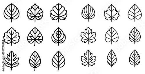 Nature icons with leaf maple oak birch outline style