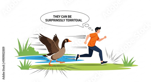 Territorial canada goose chasing a running man in a humorous flat illustration about urban wildlife encounters in public parks and green spaces