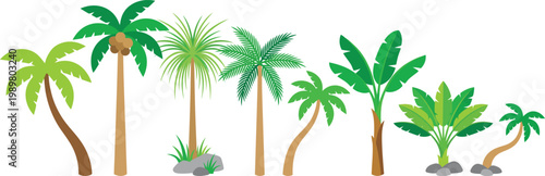 A colorful vector illustration of various palm trees on a white background