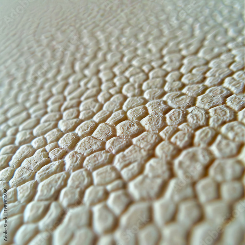 Close view of textured surface showing pattern of small shapes under natural light in indoor setting