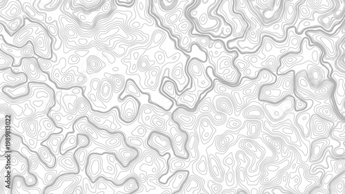 Geographic map elevation lines in minimalist gray and white