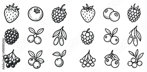 Berry icons with strawberry blueberry raspberry outline