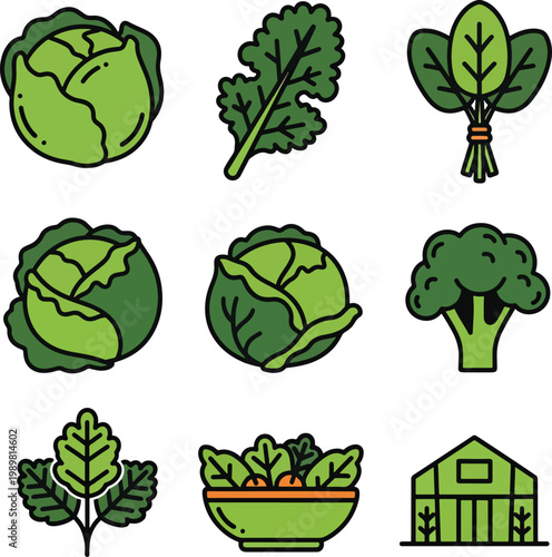 Set of green leafy vegetable icons including cabbage kale spinach and broccoli.