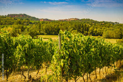 Vineyards and Roussillon on horizon. Vaucluse department of the Provence-Alpes-Cote d'Azur in France.