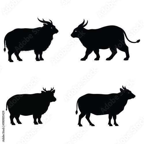 Four silhouette images of wild buffalo or bison in various poses