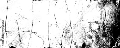 Rustic white wall surface with heavy black grunge details. Grungy cement wall backdrop with a grainy, distressed finish. 