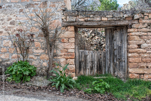 old wooden door in a stone wall of a fallen house