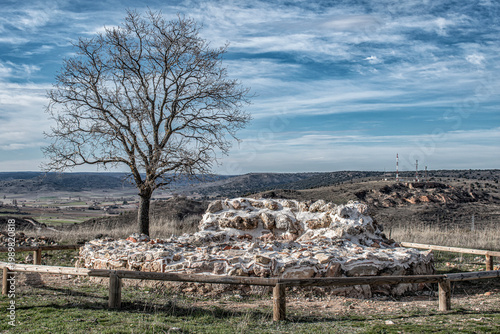 A tree with the remains of a building in a landscape in Spain