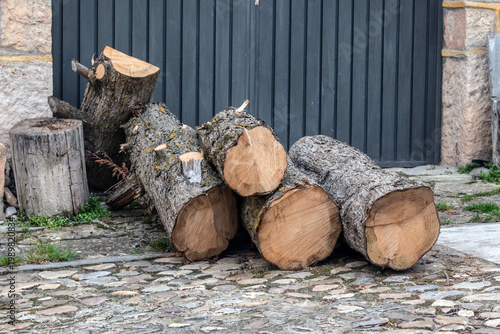 logs of wood stacked at the door of a house