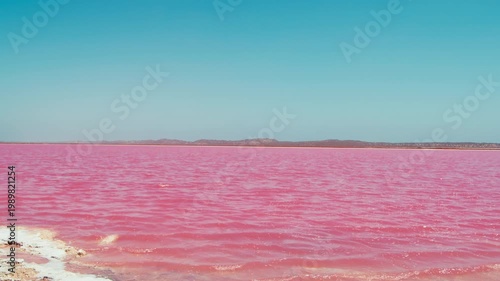 Pink lake in Western Australia with its vivid water and clear blue sky during a sunny day.