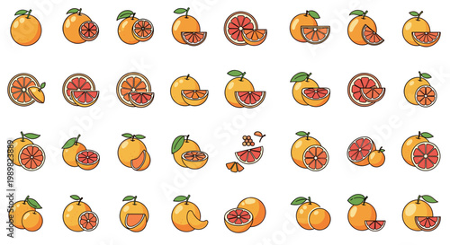 Collection of grapefruit and orange fruit icons showing whole fruits, halves, and slices with green leaves in a simple colored style.