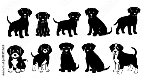 A group of adorable black and white puppies in various poses