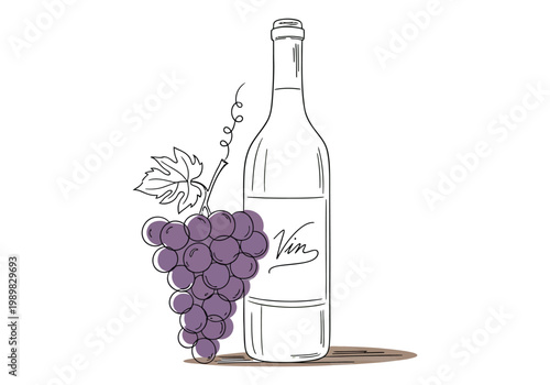 Elegant wine bottle sketch with grapes a vintage illustration