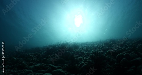 sun beams sun rays sun shine underwater nice light slow moving at the  surface  reflections relaxing ocean scenery 