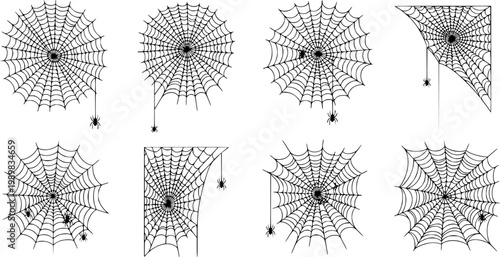 Vector cobweb background. Halloween spider web