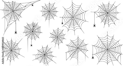 Vector cobweb background. Halloween spider web