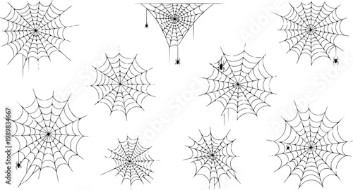 Vector cobweb background. Halloween spider web